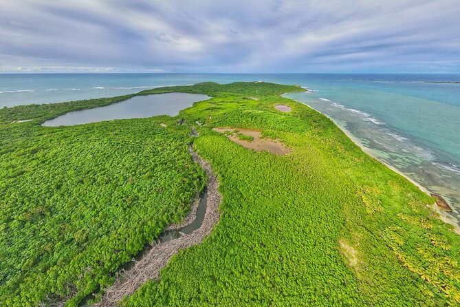 Full-Day Tour: El Yunque, Luquillo Beach, Bio Bay Night Kayaking - Price and Value: Is $155 a Smart Deal for This Puerto Rico Mix?