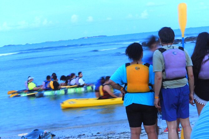 Full-Day Tour: El Yunque, Luquillo Beach, Bio Bay Night Kayaking - What to Pack: Bug Repellent, Water Shoes, Extra Clothes, and Phone Protection