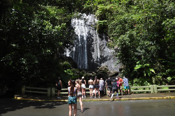 Full-Day Tour: El Yunque, Luquillo Beach, Bio Bay Night Kayaking - Should You Book This El Yunque, Luquillo, Bio Bay Day Trip?