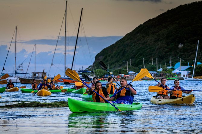 Full-Day Tour: El Yunque, Luquillo Beach, Bio Bay Night Kayaking - Luquillo Kioskos Beach Time: Lunch, Shade, and Wet-Waiting Reality