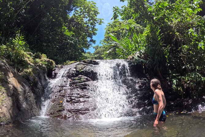Full Day Waterfalls of Puerto Rico: Central Mountains Escape - Price, Pacing, and Getting Picked Up in San Juan