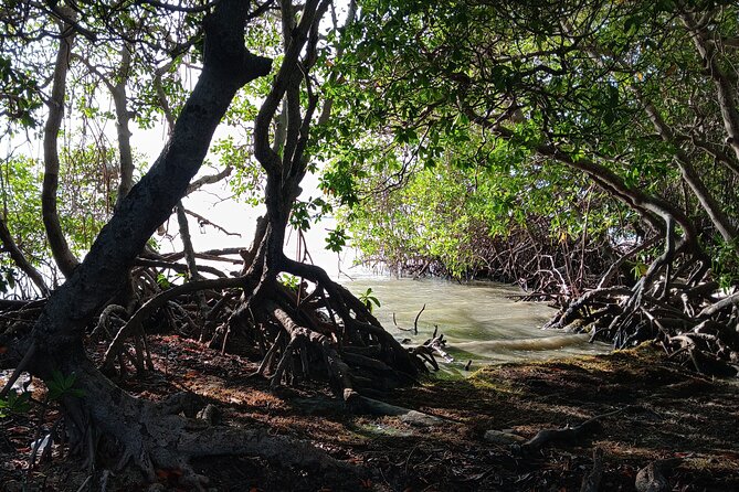 Full Day West Coast Adventure in Puerto Rico - What the $200 price gets you, and what costs can pop up