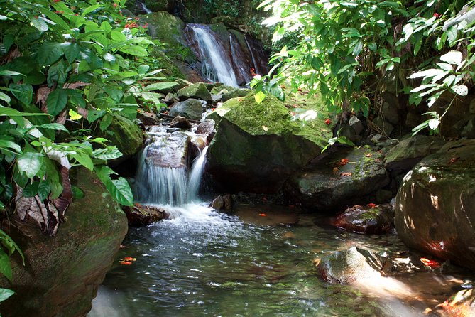 Full-Day Zipline and Waterfall Rappelling Adventure Near San Juan - Zipline return through the forest: what the ride feels like