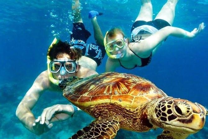 Guided Coral Reef Snorkeling Tour - The flow of your 2 hours: from shore entry to reef time