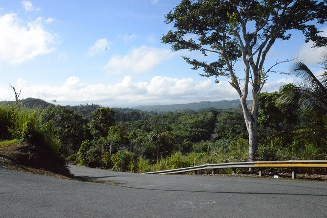 Half-Day Center of Puerto Rico Cultural Tour - Key things to know before you go