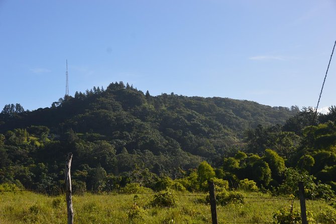 Half-Day Center of Puerto Rico Cultural Tour - Lunch in the mountains: authentic Puerto Rican food, your budget, and options