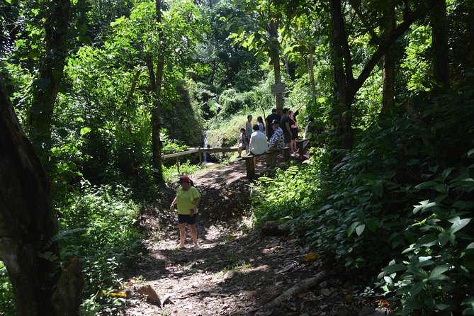 Half-Day Center of Puerto Rico Cultural Tour - Pickup timing and how to plan your day around an 8:00 am start
