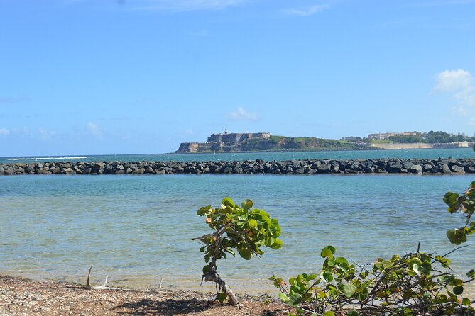 Half-Day Center of Puerto Rico Cultural Tour - Cost and value: is $80 per person worth it