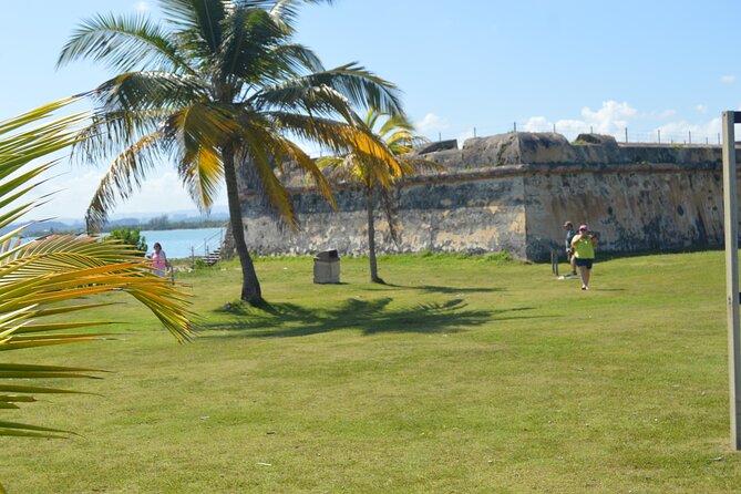Half-Day Center of Puerto Rico Cultural Tour - The ride, the group size, and why the pace usually feels relaxed