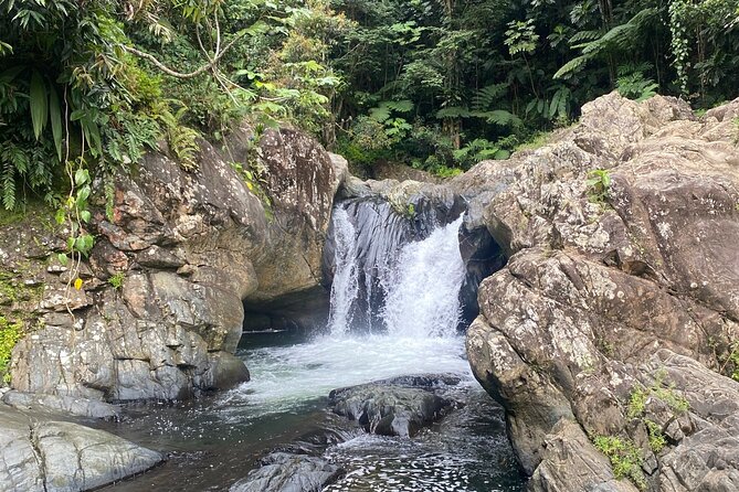 Half-Day El Yunque and Waterslides Adventure from Fajardo - Luquillo Beach lunch, why the second stop is more than a detour