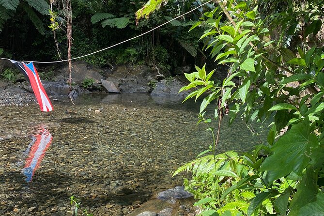 Half-Day El Yunque and Waterslides Adventure from Fajardo - Meeting in Fajardo and driving tips you should not skip
