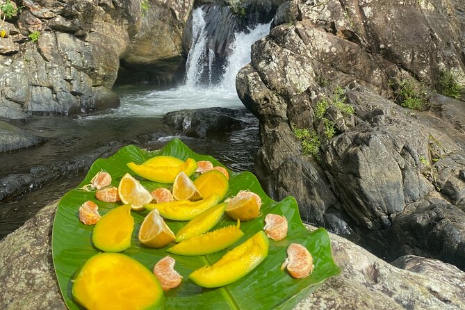 Half-Day El Yunque and Waterslides Adventure from Fajardo - What to bring for slippery trails and pool time