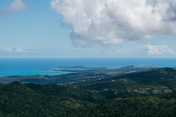 Half-Day El Yunque National Forest Tour from San Juan - Price and value at $100: what is included, what you pay extra for