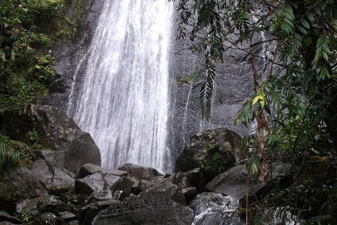 Half-Day El Yunque National Forest Tour from San Juan - Practical tips for a smoother day in the rainforest