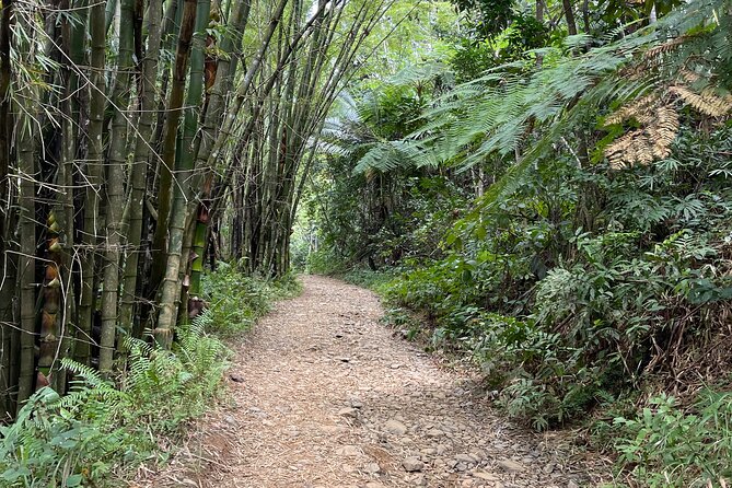 Half Day El Yunque Tour, Waterslide and Rope Swing - Gear, Snacks, and Photos: What You Actually Get for $39