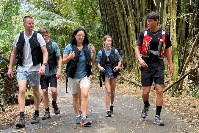Half Day El Yunque Tour, Waterslide and Rope Swing - Value Check: The Real Reason This Costs $39