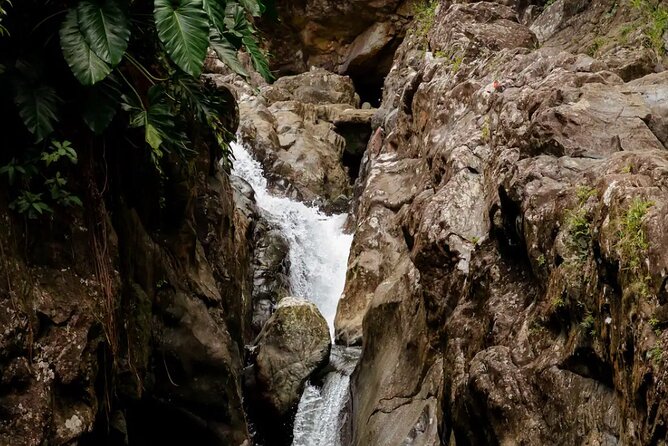 Half-Day El Yunque Waterslide Excursion (no Transportation) - Cliff Jumps, Water Slides, Rope Swing: How to Pick Your Comfort Level