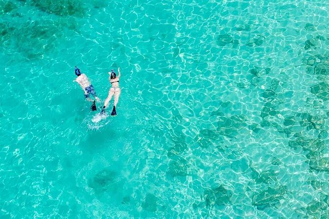 Half Day Icacos Island with Roundtrip Transport from San Juan - Key highlights worth planning around
