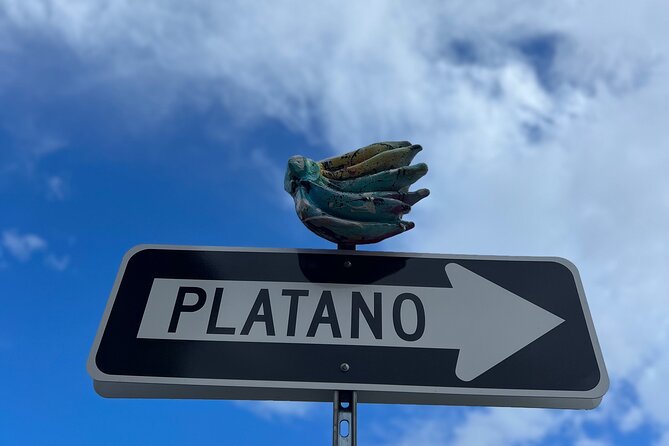 Half-Day: Old San Juan, Calle Cerra,Santurce, La Placita & Loíza - What makes the guides matter here, Jancarlo, Laura, and Miguel