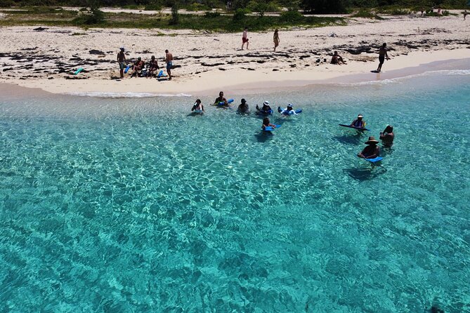 Half-Day Private Boat Experience - Appetizers & Drinks Included - Who This Night Snorkeling Tour Suits Best