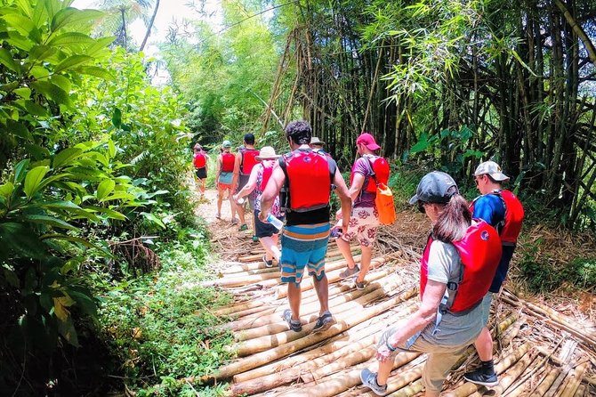 Half-Day: Rainforest and Waterslide Adventure with Transportation - Natural Pools, Waterfalls, Slide, and Rope Swing: The Attractions Part