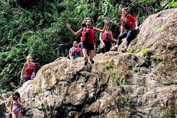 Half-Day: Rainforest and Waterslide Adventure with Transportation - Group Size and Guide Style: What You Can Expect Day-Of