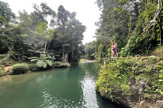 Half-Day Rainforest Tour with Transport from San Juan - Key things to know before you go