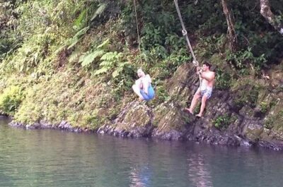 Half-Day Rainforest Tour with Transport from San Juan