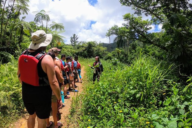 Half-Day Tour: El Yunque Rainforest and Waterslide Adventure - El Yunque, Where the Trail Turns Into Water Fun