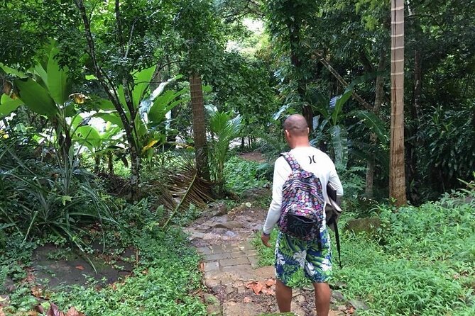 Half-Day Tour: El Yunque, Waterslides, and Luquillo Beach - Pickup timing and the day rhythm (so you do not feel rushed)