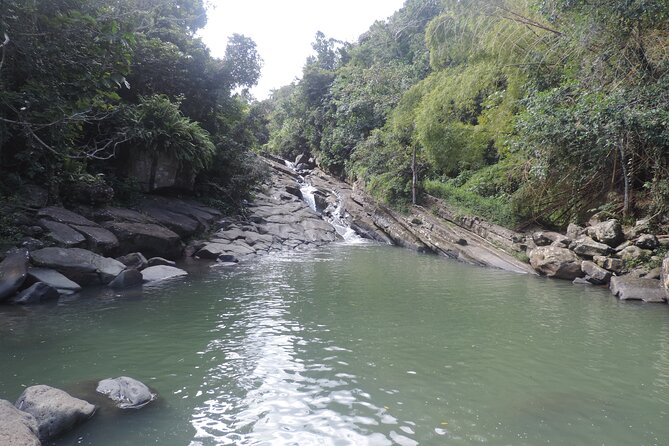Half-Day Tour: El Yunque, Waterslides, and Luquillo Beach - Safety and gear: what you get, what you should bring
