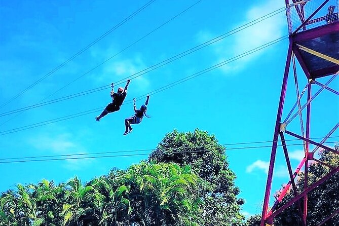 Half Day Tour in Rainforest Zipline Park with Transportation - Key Things to Know Before You Go