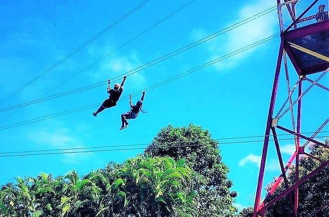 Half Day Tour in Rainforest Zipline Park with Transportation - What Gear You Get, and What You Should Bring Anyway