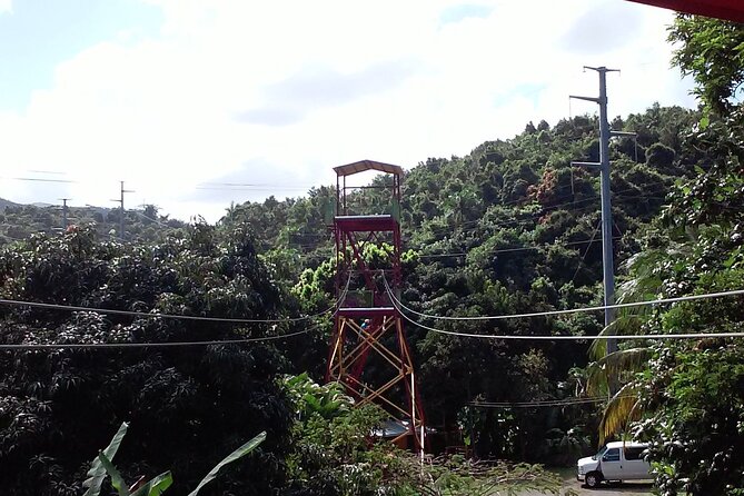 Half Day Tour in Rainforest Zipline Park with Transportation - Timing: How the Half-Day Schedule Really Works