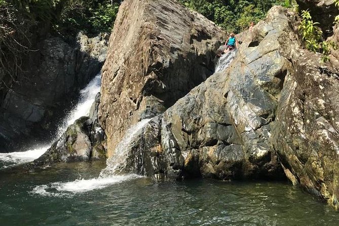 Half-Day Yunque Rainforest Waterslide & rope swing Guided Tour - Key highlights at a glance