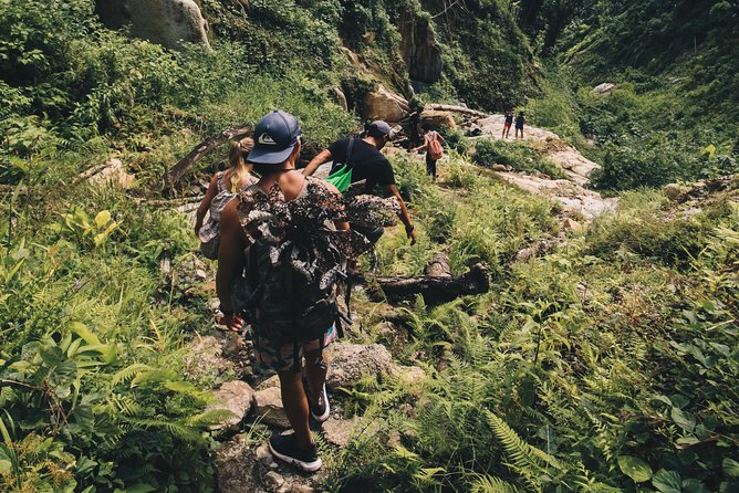 Half-Day Yunque Rainforest Waterslide & rope swing Guided Tour - Where the tour starts in Fajardo, and why your car matters