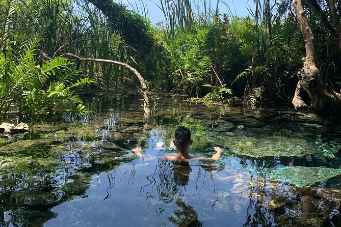 Hidden Gems of the North, Puerto Rico Private Tour - Key points to know before you go