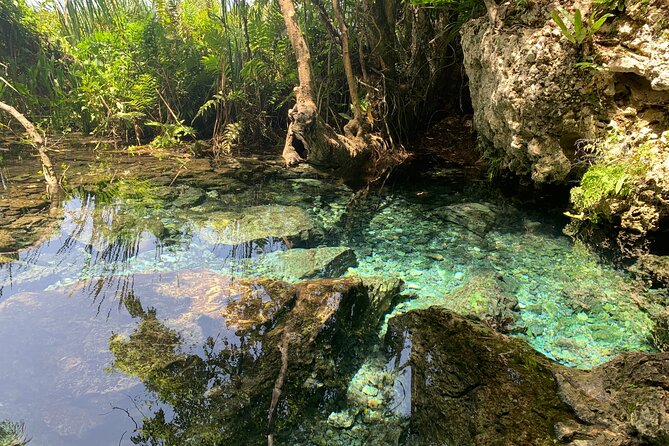 Hidden Gems of the North, Puerto Rico Private Tour - The optional food stop after the caves
