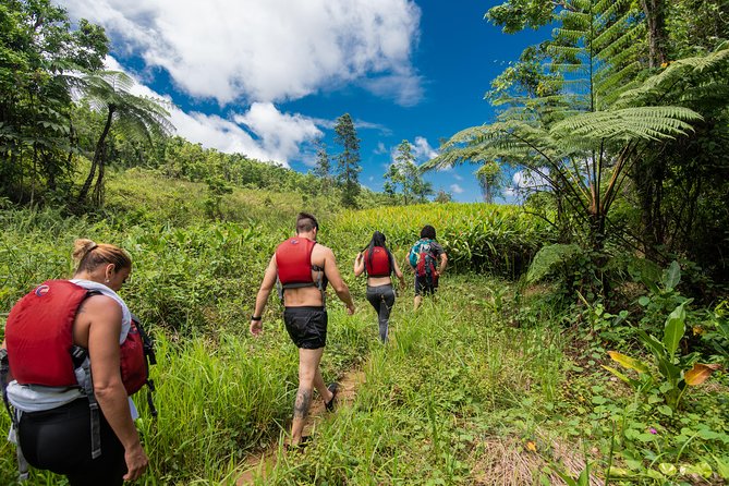 Hike El Yunque Rainforest and Kayak Bio Bay Combo Tour - Key Things You’ll Appreciate on This Combo Tour