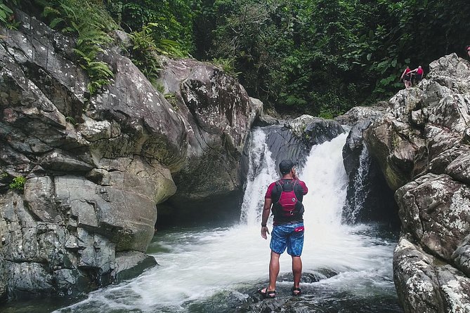 Hike El Yunque Rainforest and Kayak Bio Bay Combo Tour - El Yunque and Bio Bay in One Day: Why This Combo Makes Sense