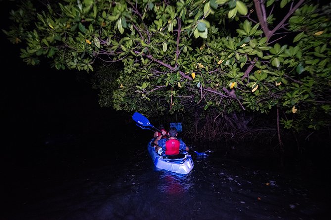 Hike El Yunque Rainforest and Kayak Bio Bay Combo Tour - El Yunque National Forest: Off-the-Paved-Trail Hiking With Waterfall Swim Stops