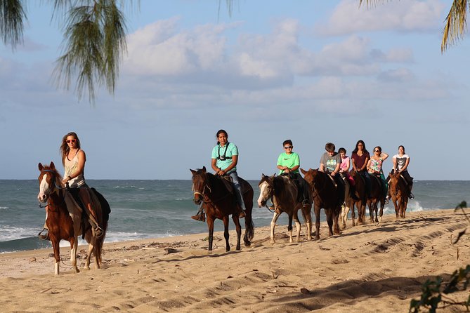 Horseback Riding through Secluded Beaches and Tropical Forests - Key things I’d watch for before you book