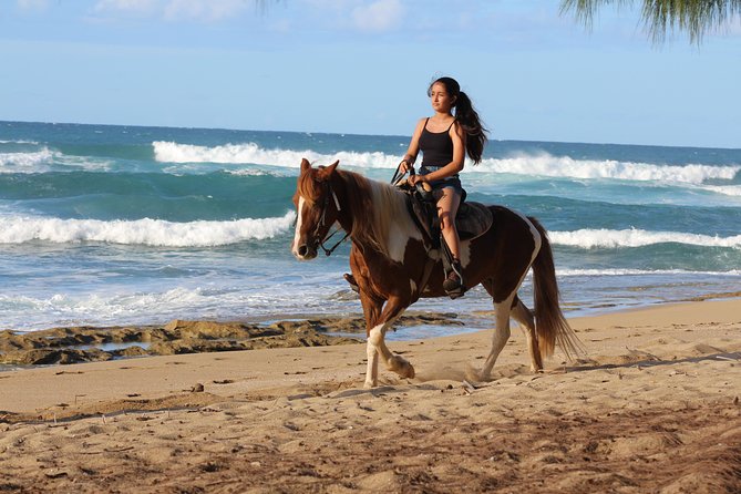 Horseback Riding through Secluded Beaches and Tropical Forests - Why horseback through forests and beaches beats a normal tour bus