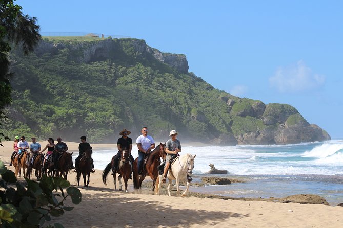 Horseback Riding through Secluded Beaches and Tropical Forests - Stop 3: Survival Beach, cliff caves, and the 15-minute break