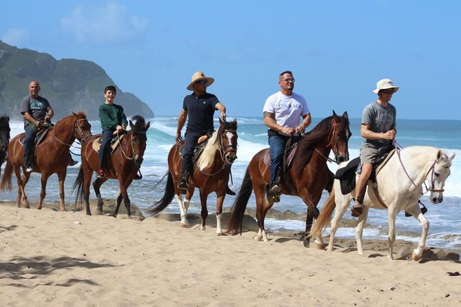 Horseback Riding through Secluded Beaches and Tropical Forests - The horses and the safety vibe that makes first-timers calm
