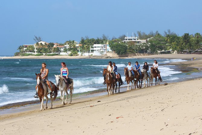 Horseback Riding through Secluded Beaches and Tropical Forests - Meeting point, timing, and how the small group size feels in practice