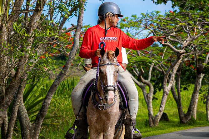 Horseback Riding Tour at Private Ranch - Getting There: Campo Rico Means You Drive, Not “Picked Up”