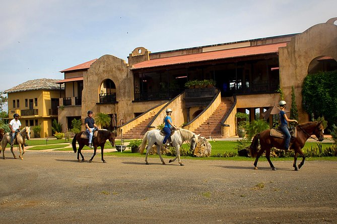 Horseback Riding Tour at Private Ranch - After the Ride: Mojito Bar Cooldown (Own Expense)