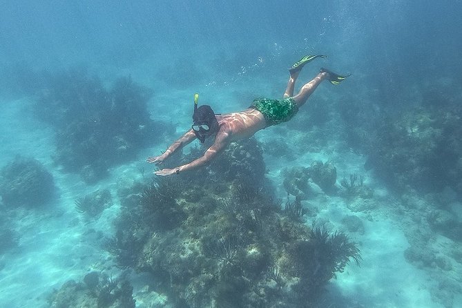 Icacos Deserted Island Catamaran, Snorkel, and Picnic Cruise - The Afternoon Loop: More Water, Then Back to Fajardo