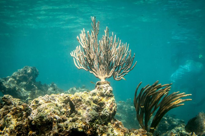 Icacos Deserted Island Catamaran, Snorkel, and Picnic Cruise - Boat Comfort and Group Size: Fun, Not a Luxury Yacht